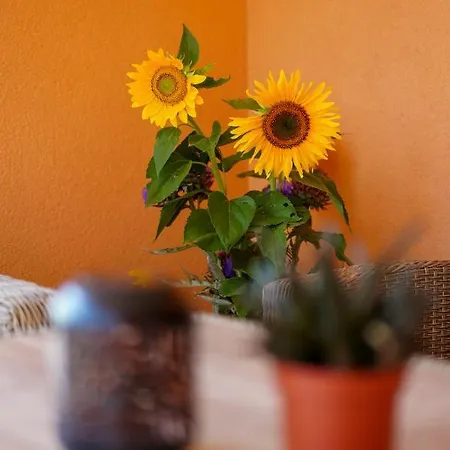 Maslina & Lavanda Apartment