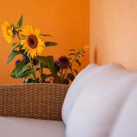 Maslina & Lavanda Apartment