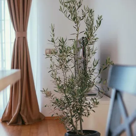 Maslina & Lavanda Apartment