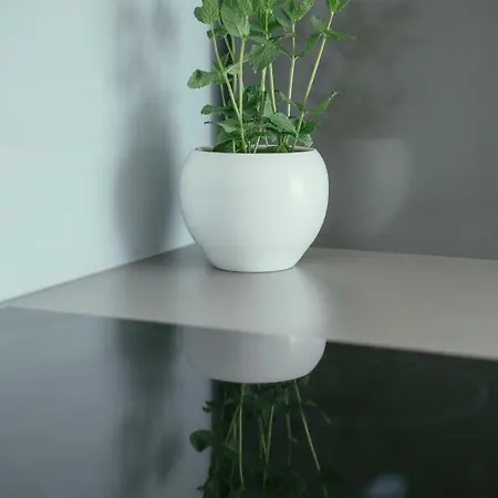 Maslina & Lavanda Apartment Podstrana